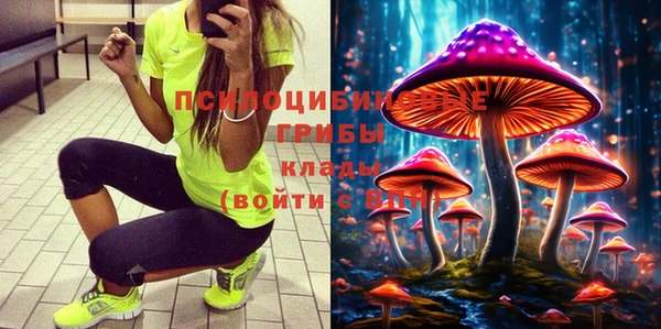 PSILOCYBIN Надым