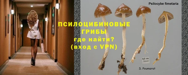 стафф Алагир
