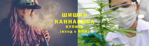 PSILOCYBIN Надым