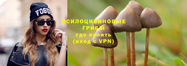 PSILOCYBIN Надым