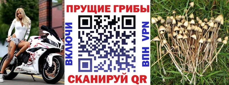 закладка  Чишмы  Галлюциногенные грибы мухоморы 